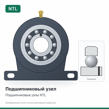 Подшипниковый узел FC 216 NTL