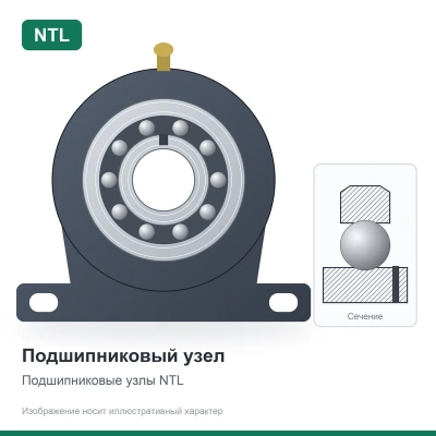 Подшипниковый узел SB206 NTL