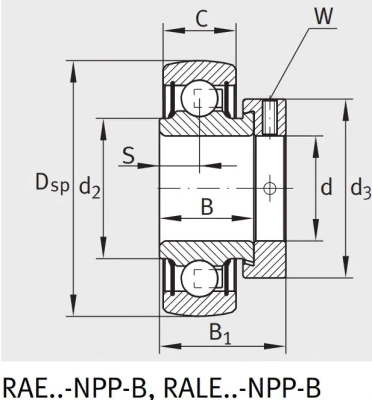 Подшипник RAE 35 XL NPP FA 106 INA