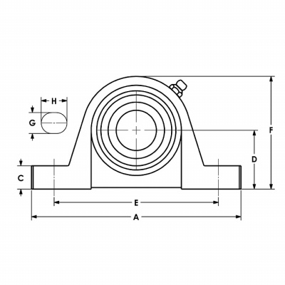 Подшипниковый узел PASE 40-SW 40 PTI